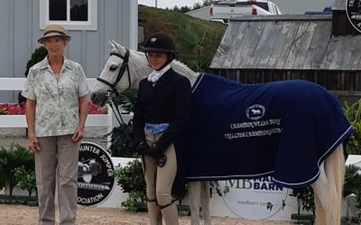 Absolute Lily Wins Champion Welsh Pony at Trillium Champs