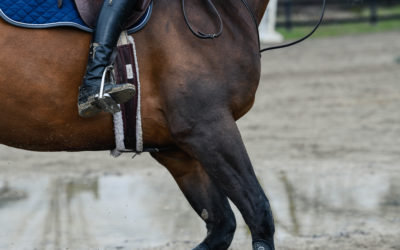 Fall Lesson Session Begins